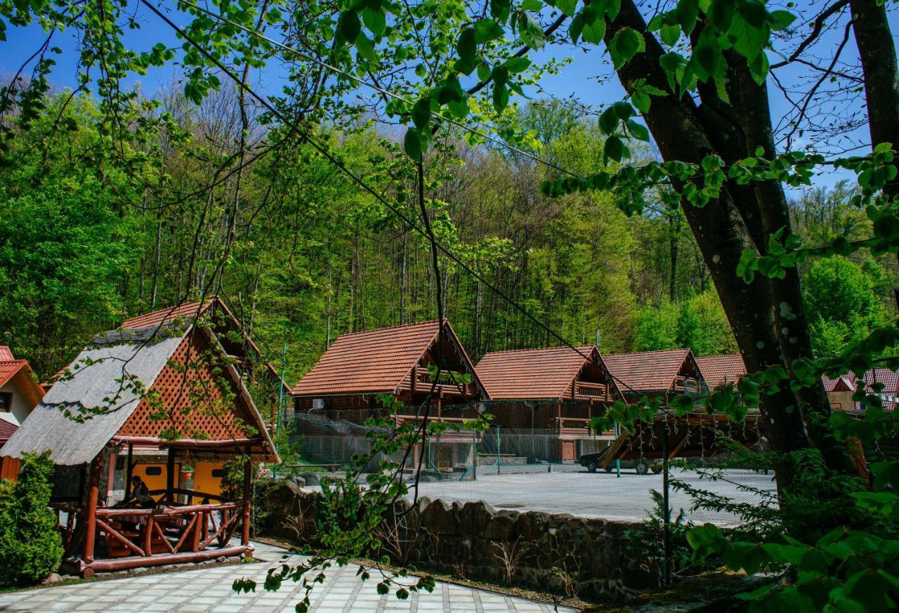 Отель Toursit Complex Polyana Kvasova Экстерьер фото